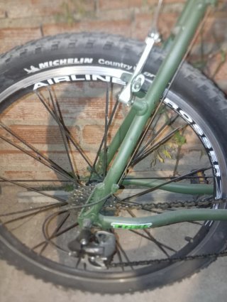 Bicicleta de montaña Trek verde