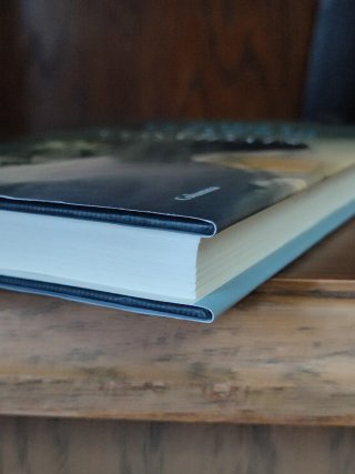 Els convidats” Emili Teixidor – Catalan novel book
