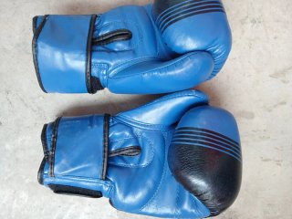 Guantes de boxeo JD JDONNE azules