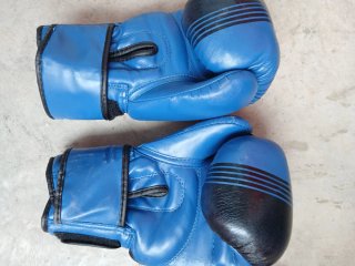 Guantes de boxeo JD JDONNE azules