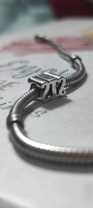 Charm SIS Plata 925