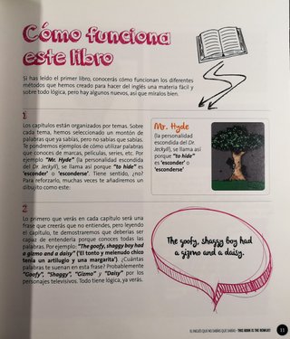 This Book is the Remilk!! El Inglés Que No Sabí...