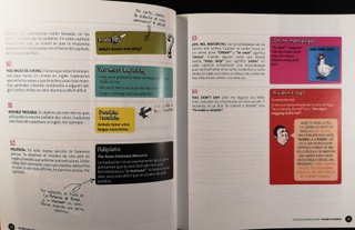 This Book is the Remilk!! El Inglés Que No Sabí...