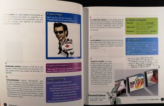 This Book is the Remilk!! El Inglés Que No Sabí...