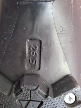 Botas de esquí Fischer