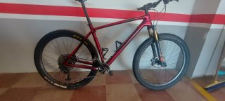 Trek Procaliber Talla XL (21)