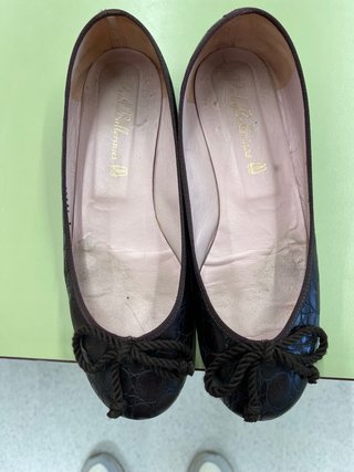Bailarinas Pretty Ballerinas Marrón Cocodrilo