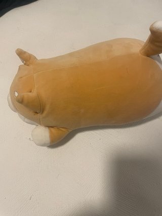 Peluche adorable de perro
