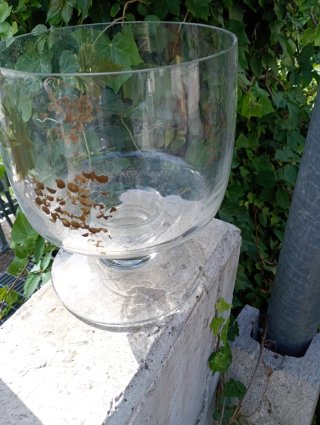 Coppa in vetro decorata con uva e foglie