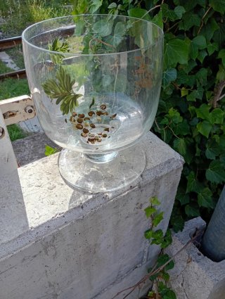 Coppa in vetro decorata con uva e foglie