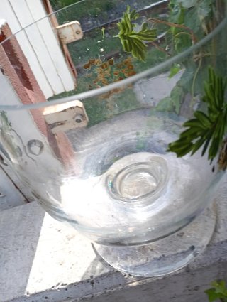 Coppa in vetro decorata con uva e foglie