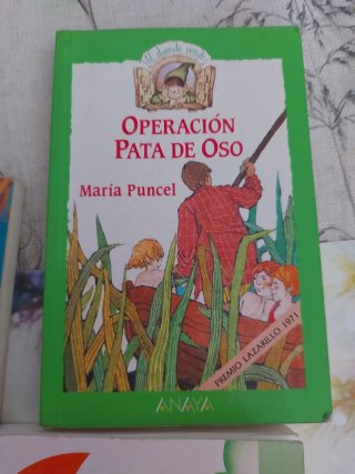 Lote 3 libros infantiles