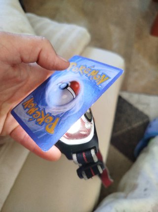 Lote de Cartas Pokémon