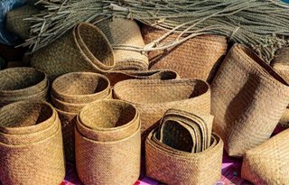 Cestería e tappeti in giuggiola