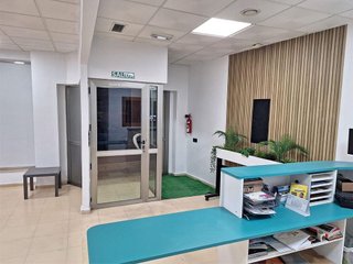 Local comercial en venta en Ejido Centro en Ejido (El)