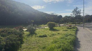 Terreno en venta en Camino Algarrobo - Las Arenas en Vélez-Málaga