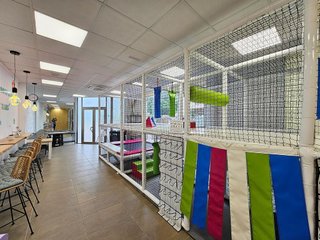 Local comercial en alquiler en Pobla (Sa)