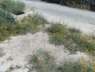 Terreno en venta en Cuevas del Almanzora pueblo en Cuevas del Almanzora