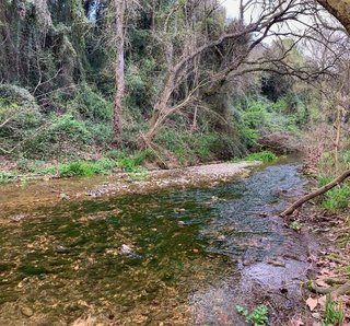 Parcela de Terreno Rustico para huerto 200€/mes