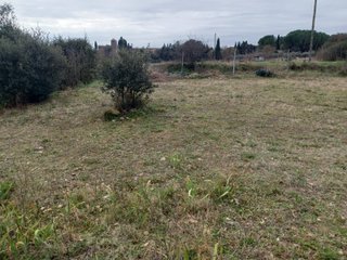 Parcela de Terreno Rustico para huerto 200€/mes