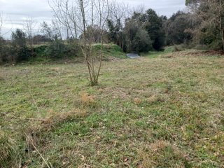 Parcela de Terreno Rustico para huerto 200€/mes