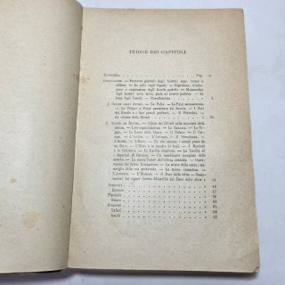 Libro antico - Gl'insetti di Luigi Figuier 1893