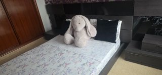 Habitacion
