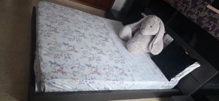 Habitacion