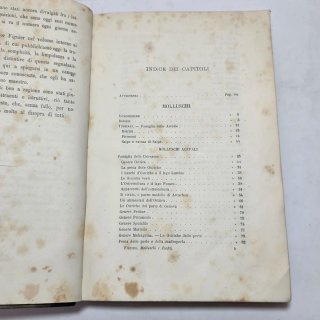 Libro antico Molluschi e zoofiti di Luigi Figuier