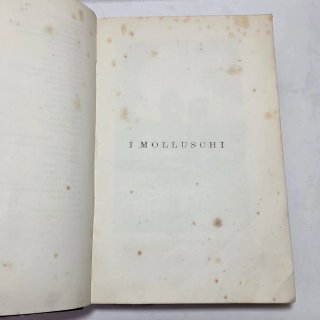 Libro antico Molluschi e zoofiti di Luigi Figuier