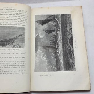 Libro antico Molluschi e zoofiti di Luigi Figuier