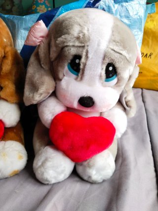 2 Peluches Perro Corazón