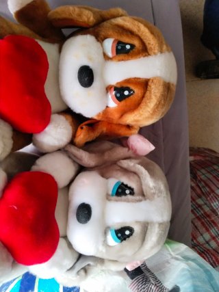 2 Peluches Perro Corazón