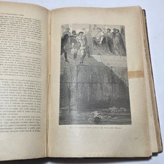 Libro antico - Rettili, pesci e animali articolati