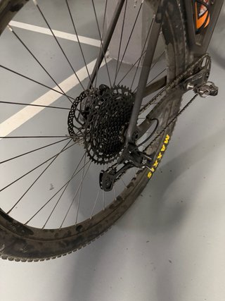 Orbea Alma M51 2024 XL