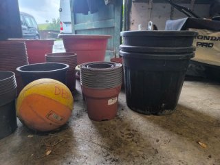 Lote de tiestos de plástico
