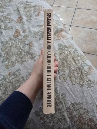 Addio, addio mio ultimo amore