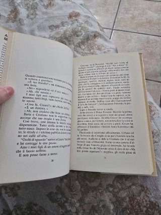 Addio, addio mio ultimo amore