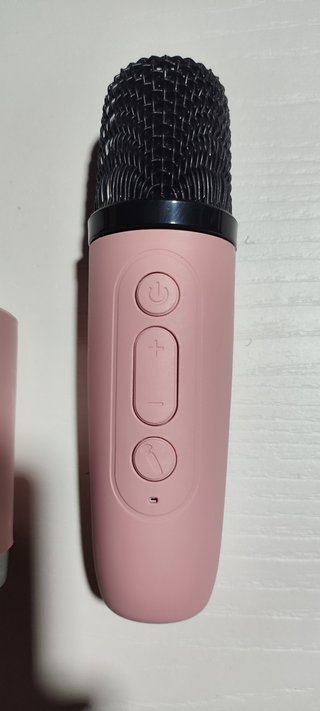 Karaoke Portátil con 2 Micrófonos Rosas