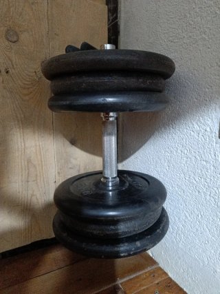 Mancuerna 32 kg