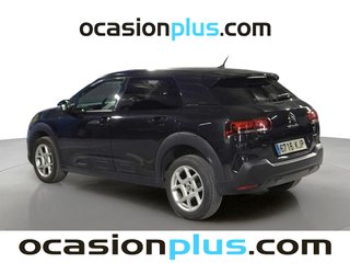 Citroen C4 Cactus PureTech 110 S&S Feel 81 kW (110 CV)