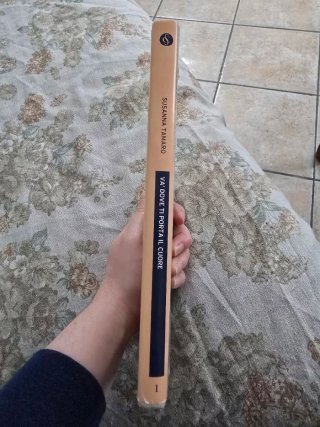 Va' dove ti porta il cuore
