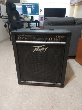 Peavey TKO 115 S Amplificador Bajo 200W de segunda mano por 350
