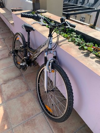 Bicicleta Montaña Giant MTX 250