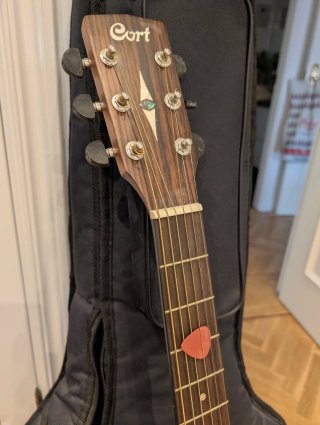 Guitarra Acústica Cort Earth 70