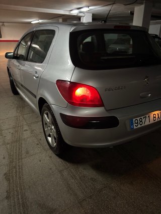 Peugeot 307 2002