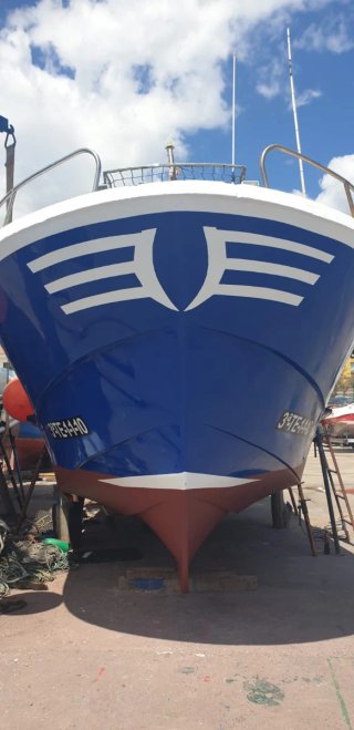 Barco de pesca profesional