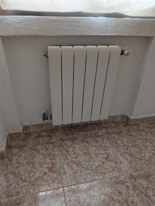 Caldaia Saunier Duval e 9 radiatori