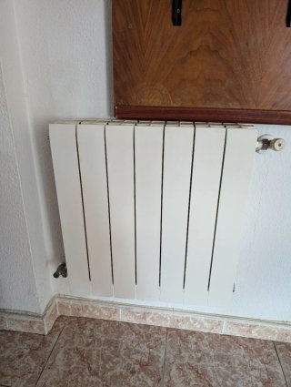 Caldaia Saunier Duval e 9 radiatori