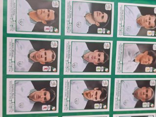 Álbum EURO 2012 Oficial Panini completo.